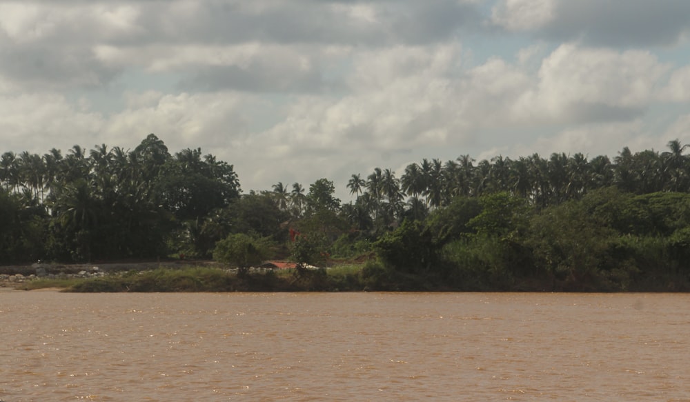 a large body of water with trees in the background