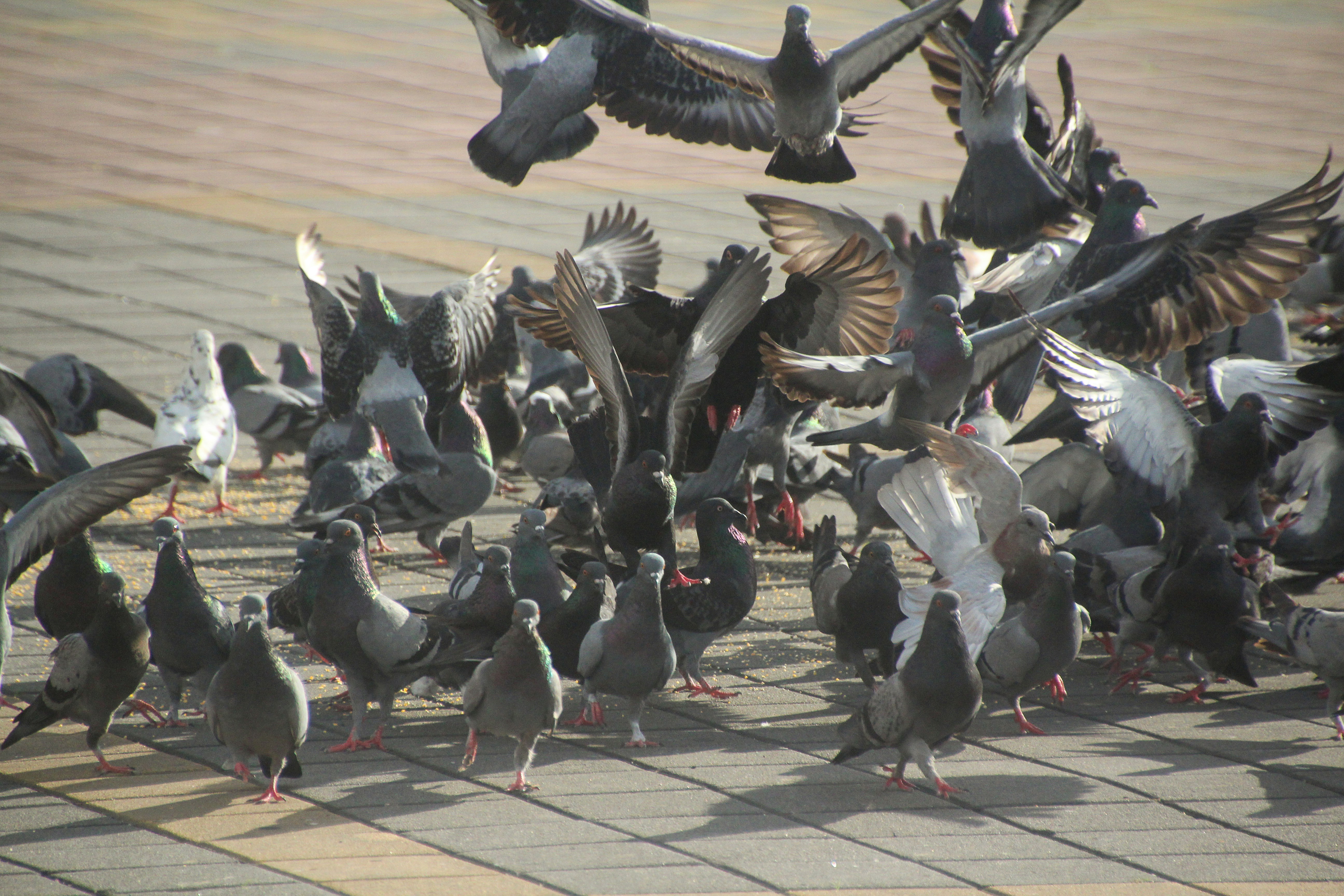 Photo by izdiharsahalan