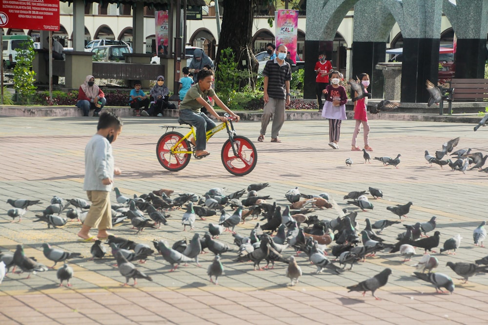 a young boy riding a bike through a flock of pigeons