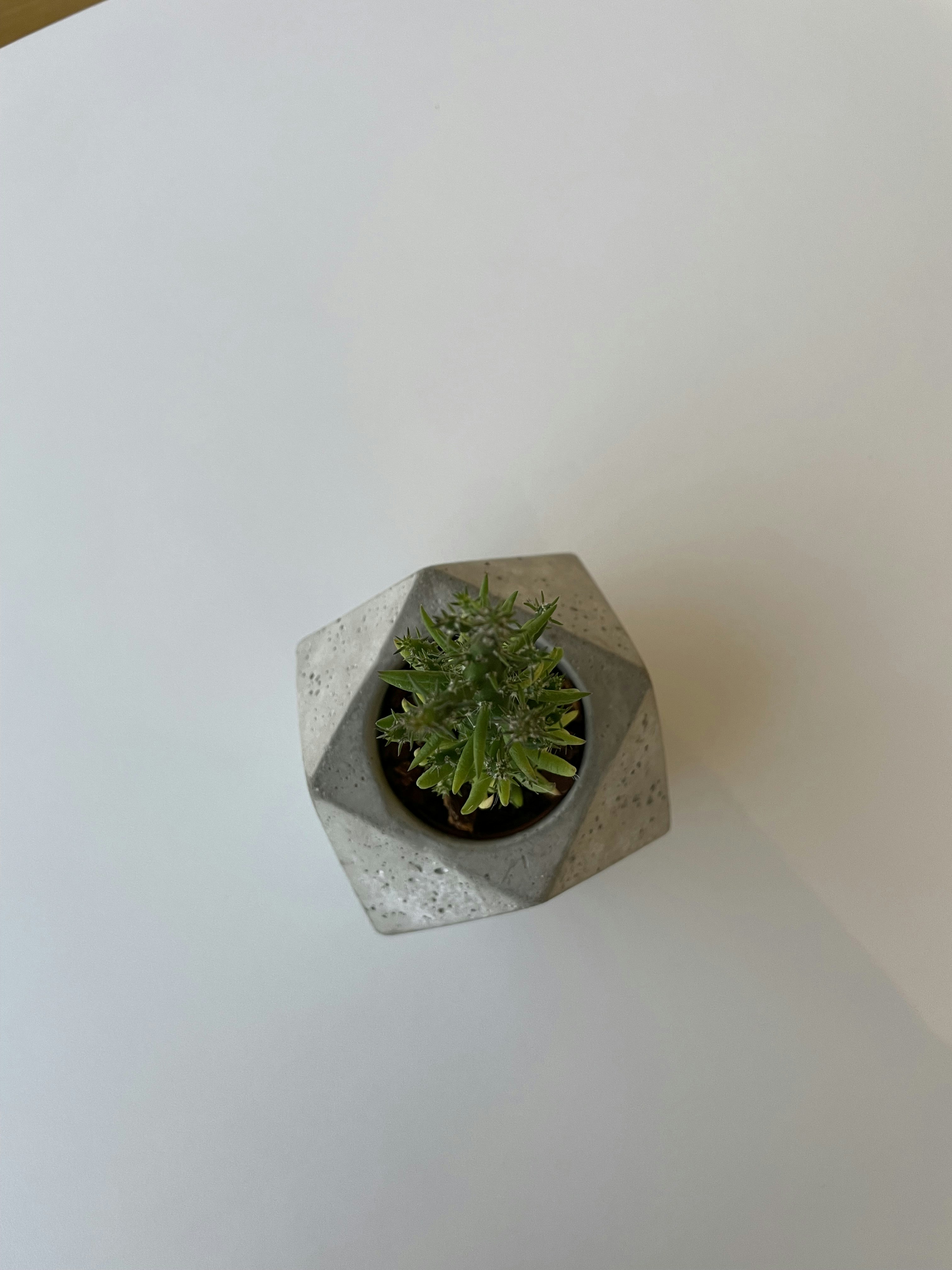 Elegant Minimalist Planter