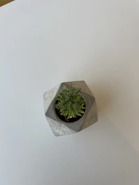 Close-up of a sleek, modern 3D printed planter with a small succulent inside, showcasing fine detail and texture.