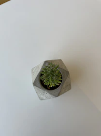 Close-up of a sleek, modern 3D printed planter with a small succulent inside, showcasing fine detail and texture.