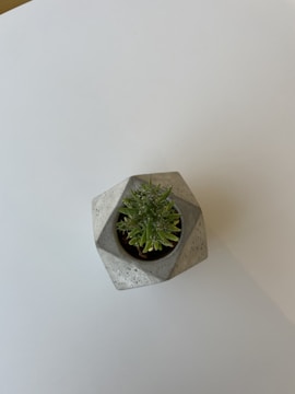 A small green succulent plant is placed inside a geometric, stone-like planter. The planter has a faceted design and sits against a plain white background, emphasizing its modern aesthetic.