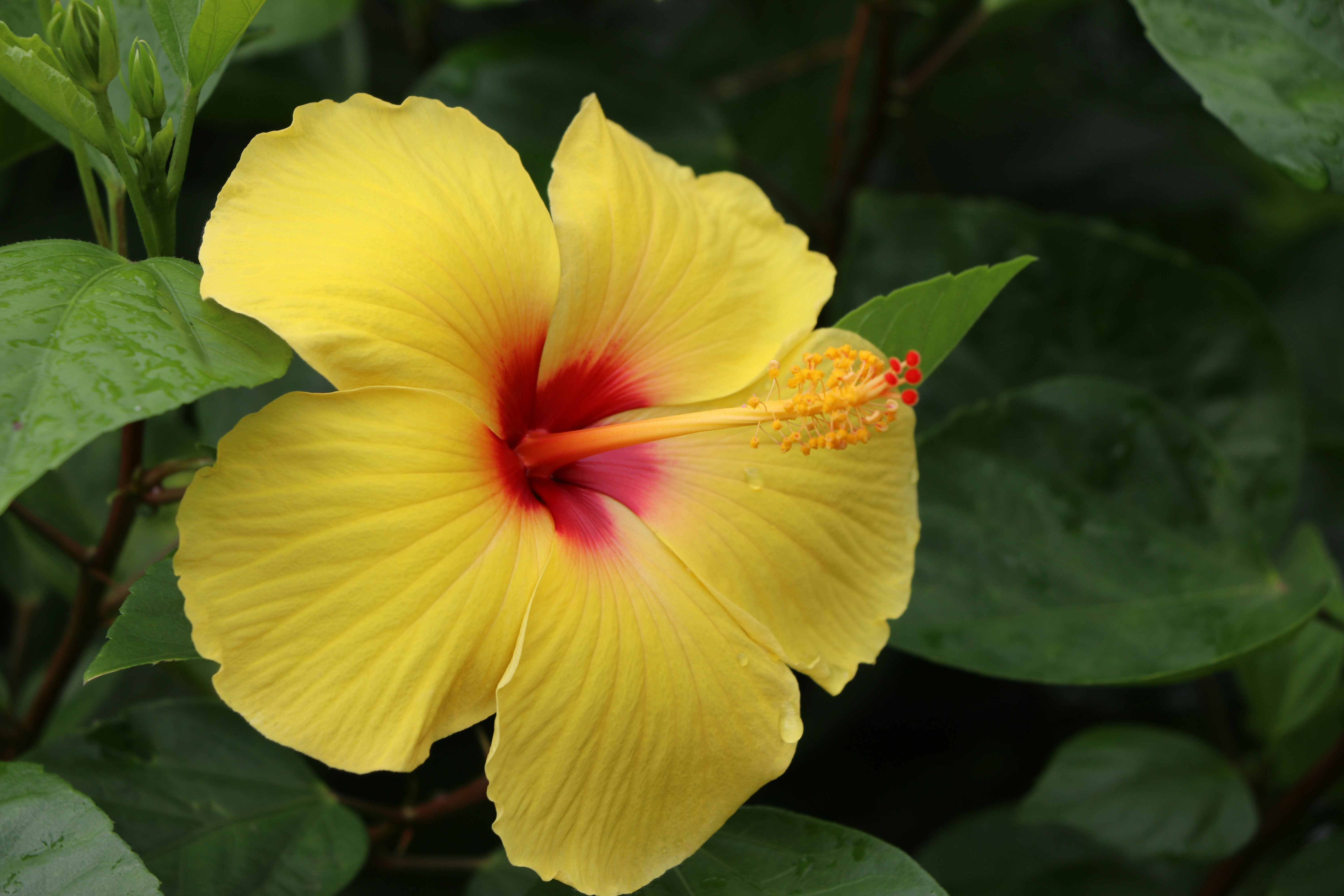 Photo by ninjab12000