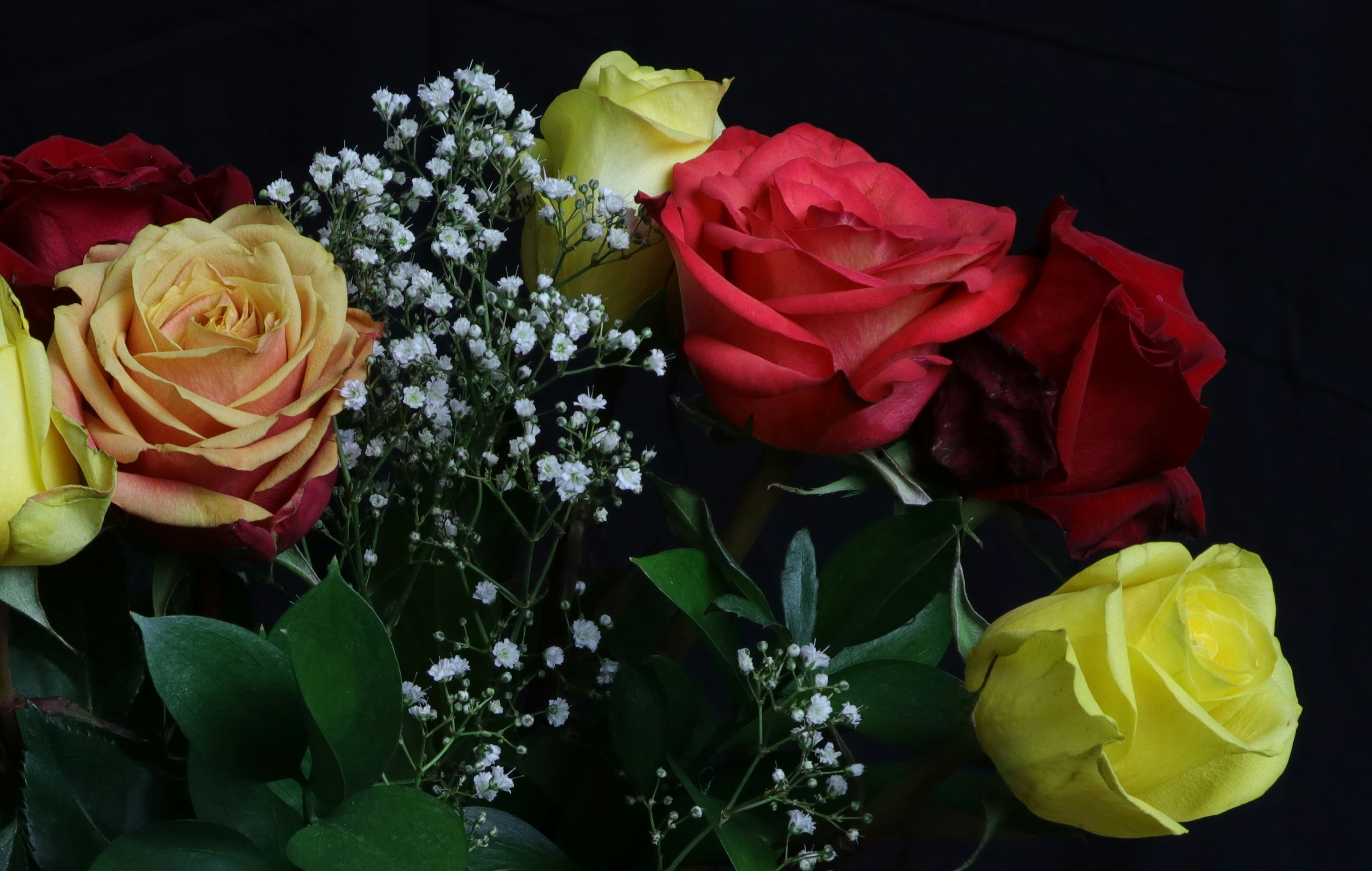 Photo by ninjab12000