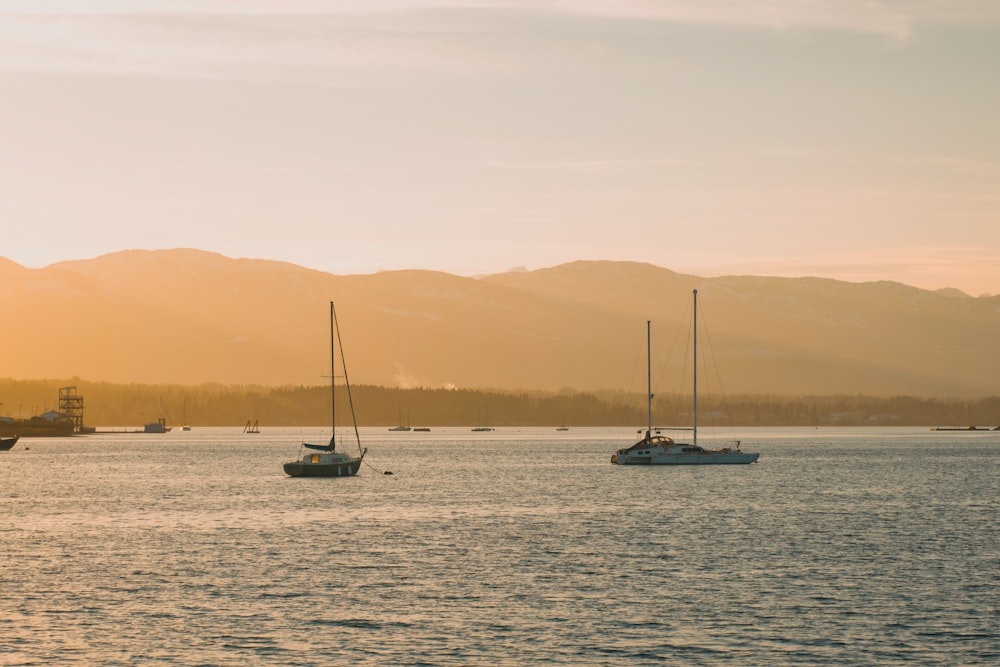 a group of boats floating on top of a body of water