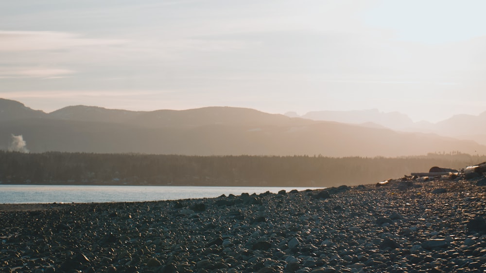 a person standing on a rocky beach next to a body of water