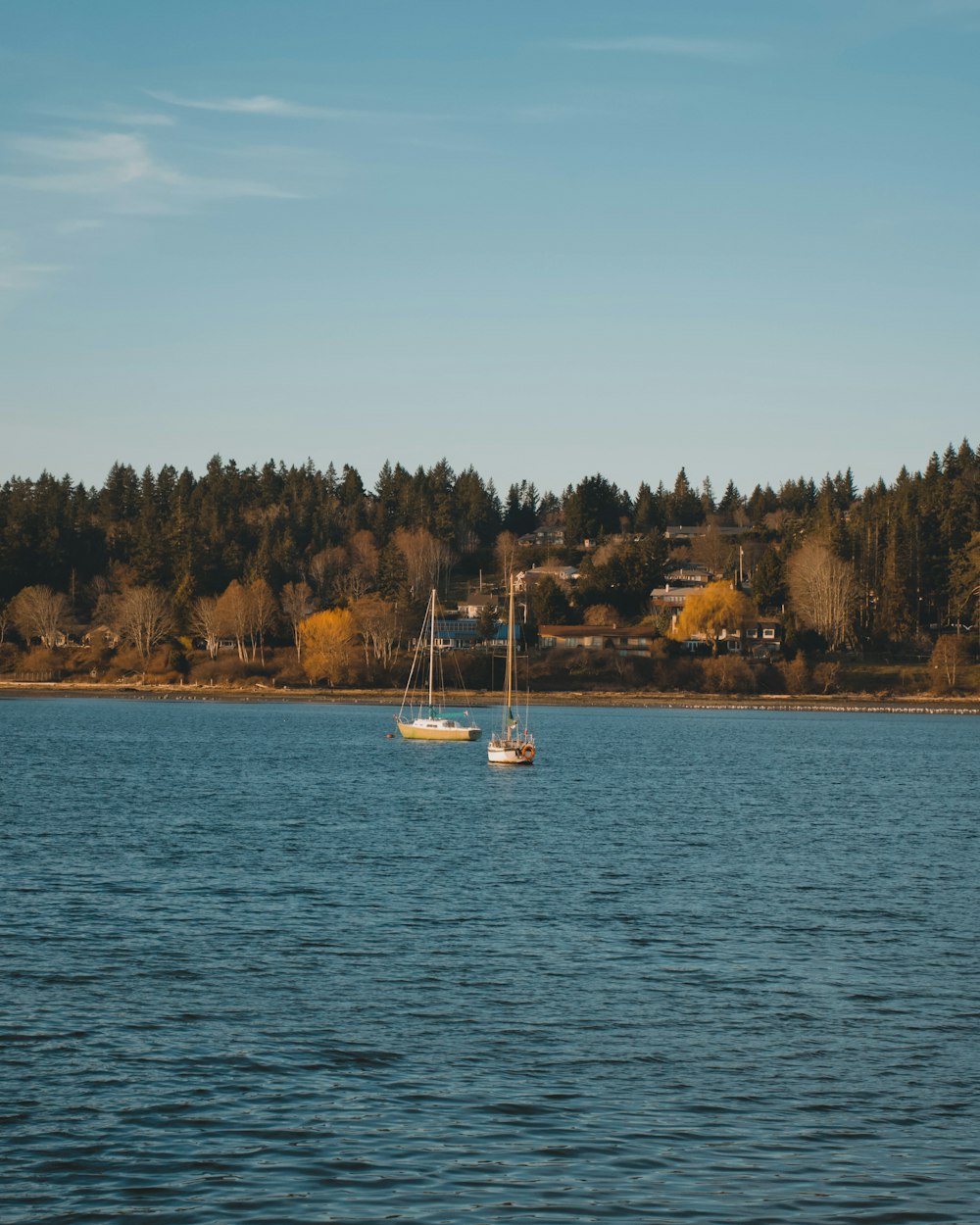 a boat floating on top of a lake next to a forest