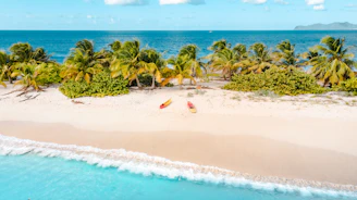 Two kayakers gliding over crystal-clear blue water with a golden sandy beach and palm trees in the background.