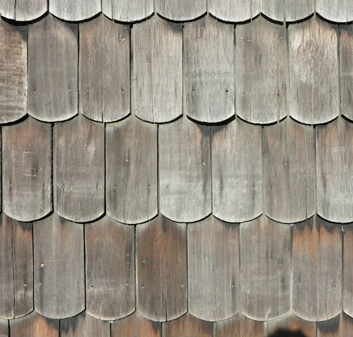 a cat is sitting on the roof of a building