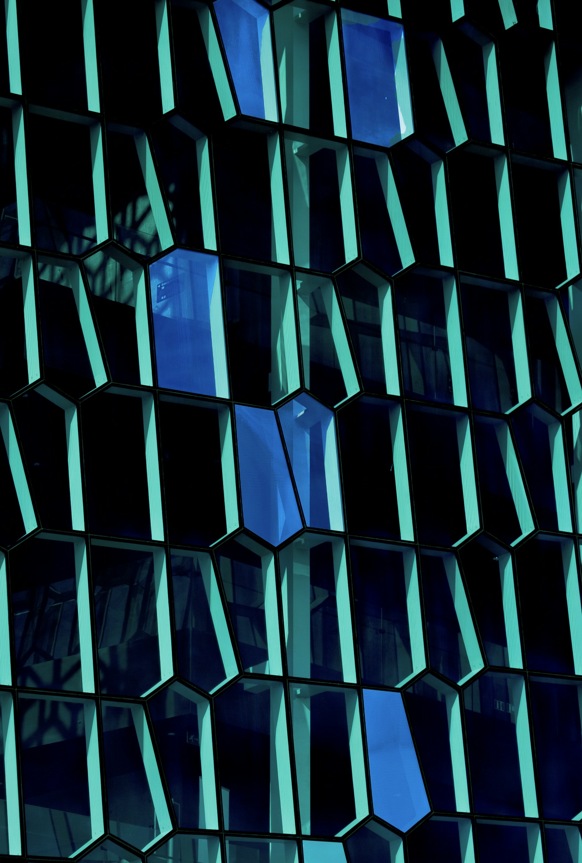 Photo by elviraobutler