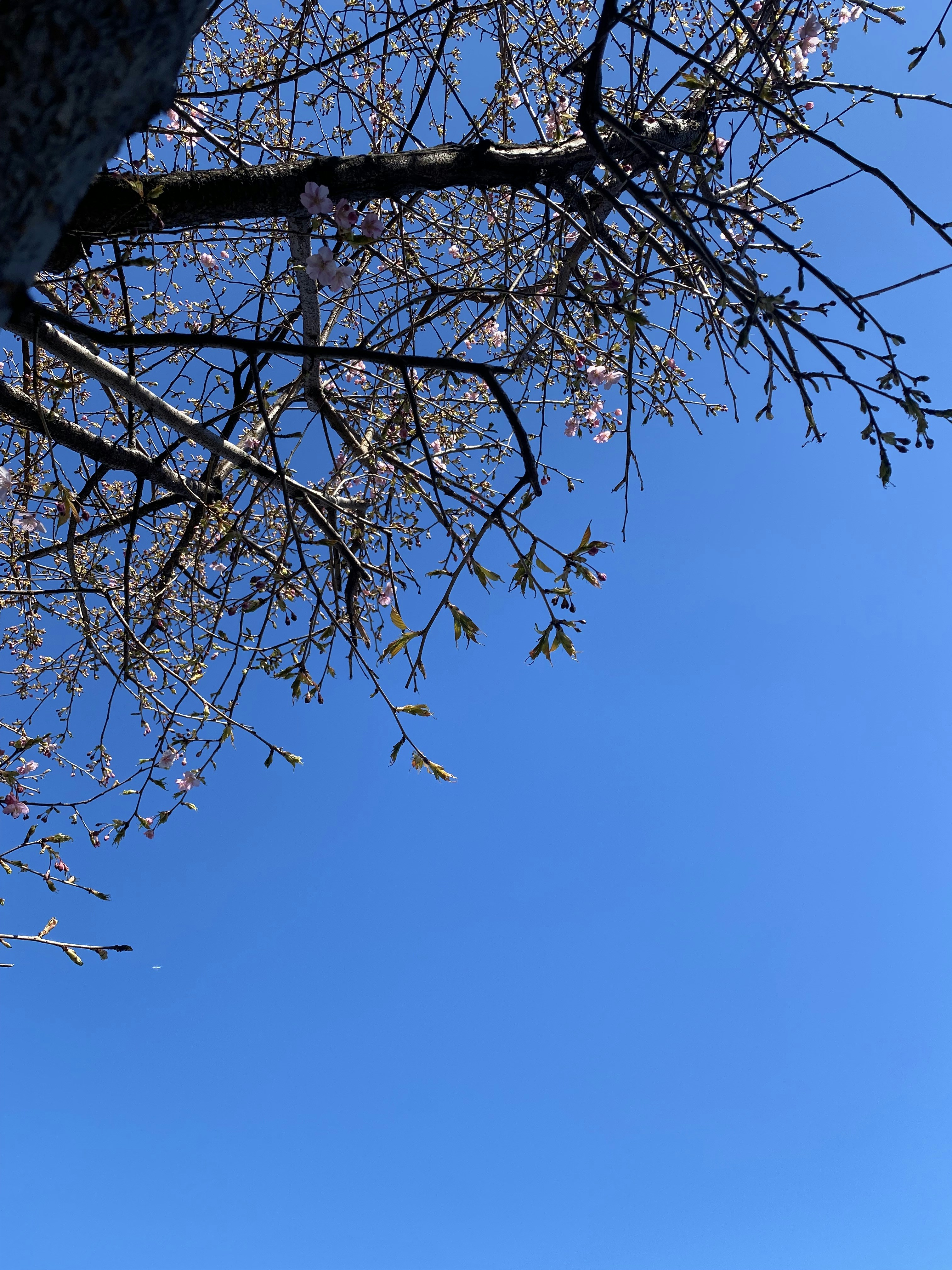 Photo by pioneer13662000