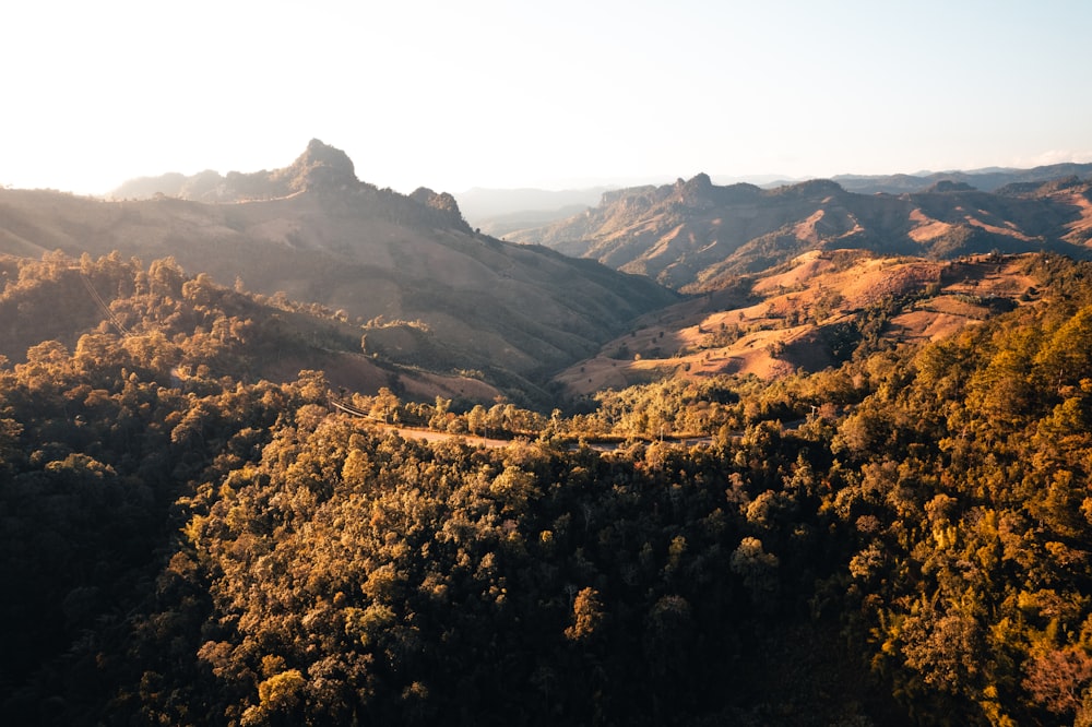 an aerial view of a mountain range with trees in the foreground