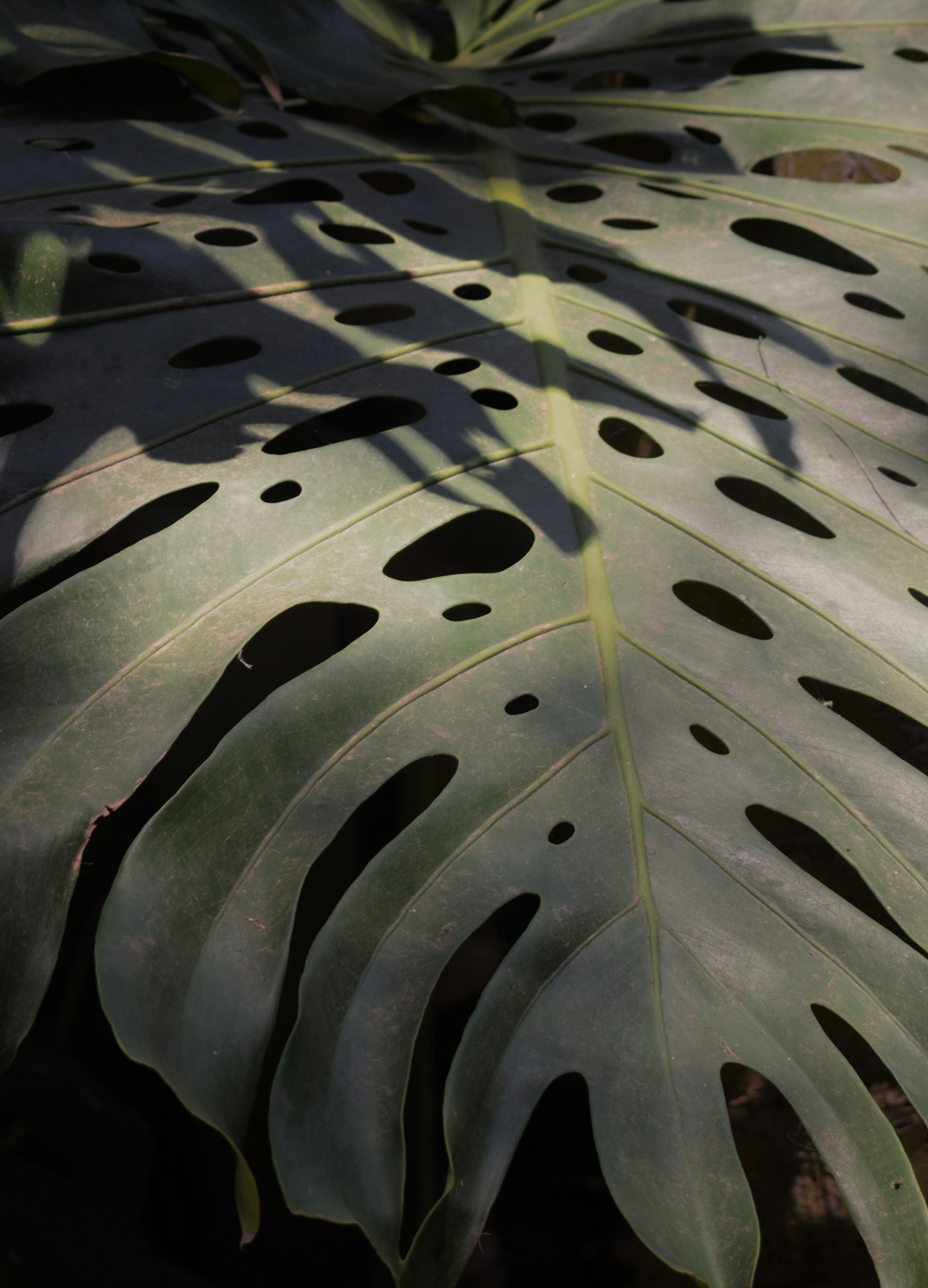 Photo by ashlee_45