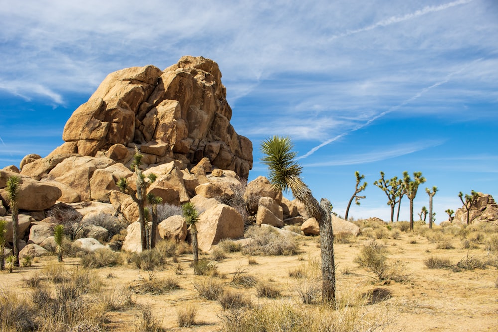 a large rock formation in the middle of a desert