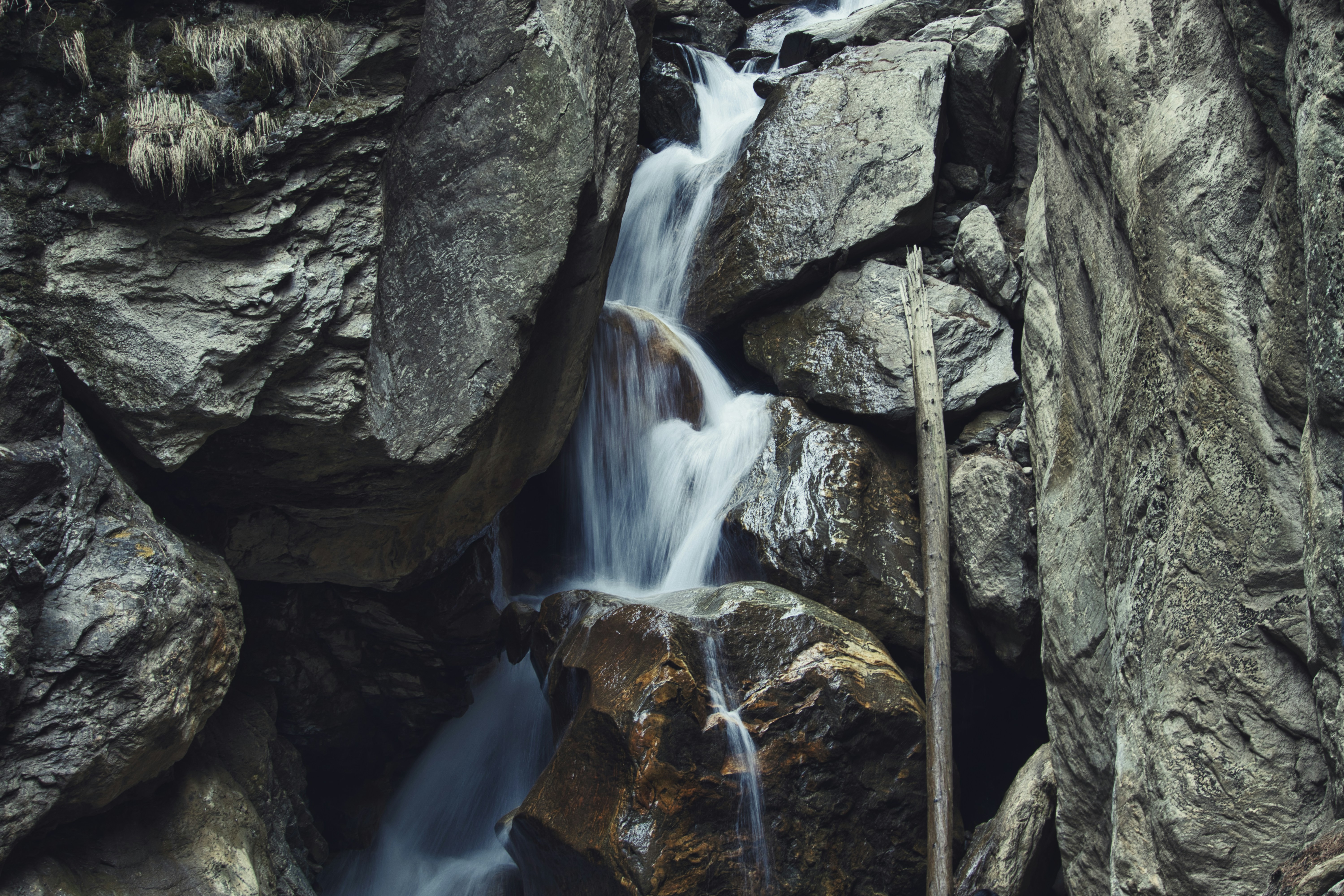 Photo by purohitphotographer