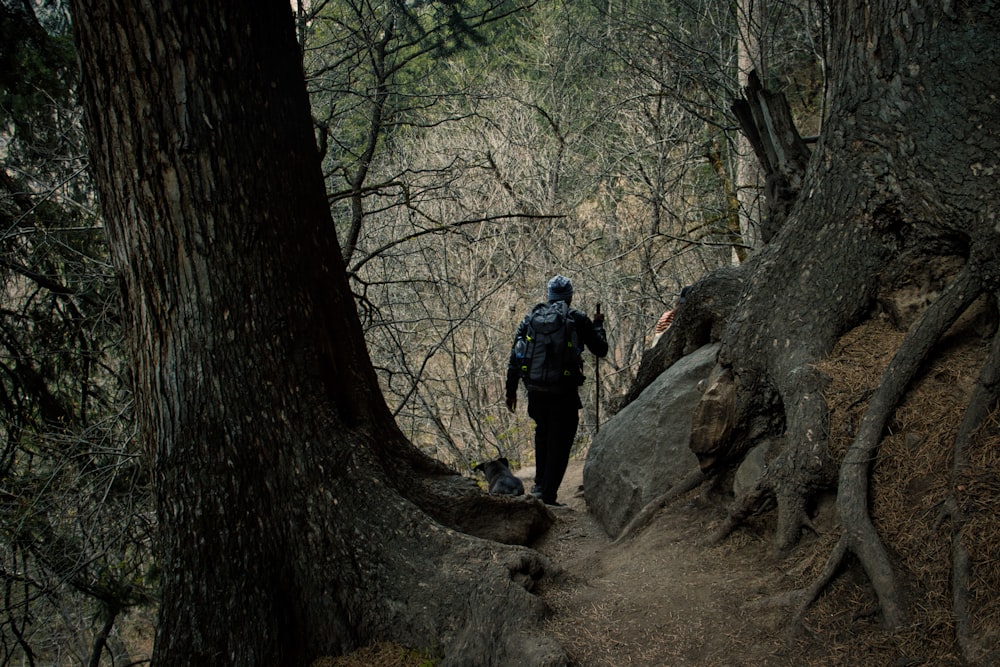 a man hiking up a trail in the woods