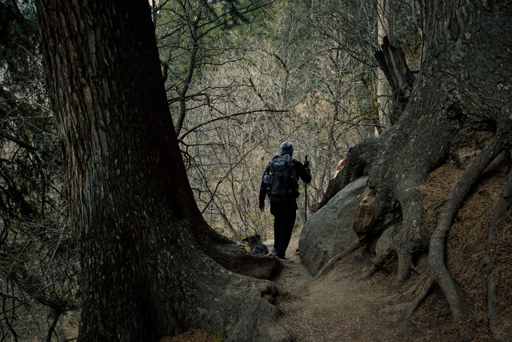 Un hombre caminando por un sendero en el bosque