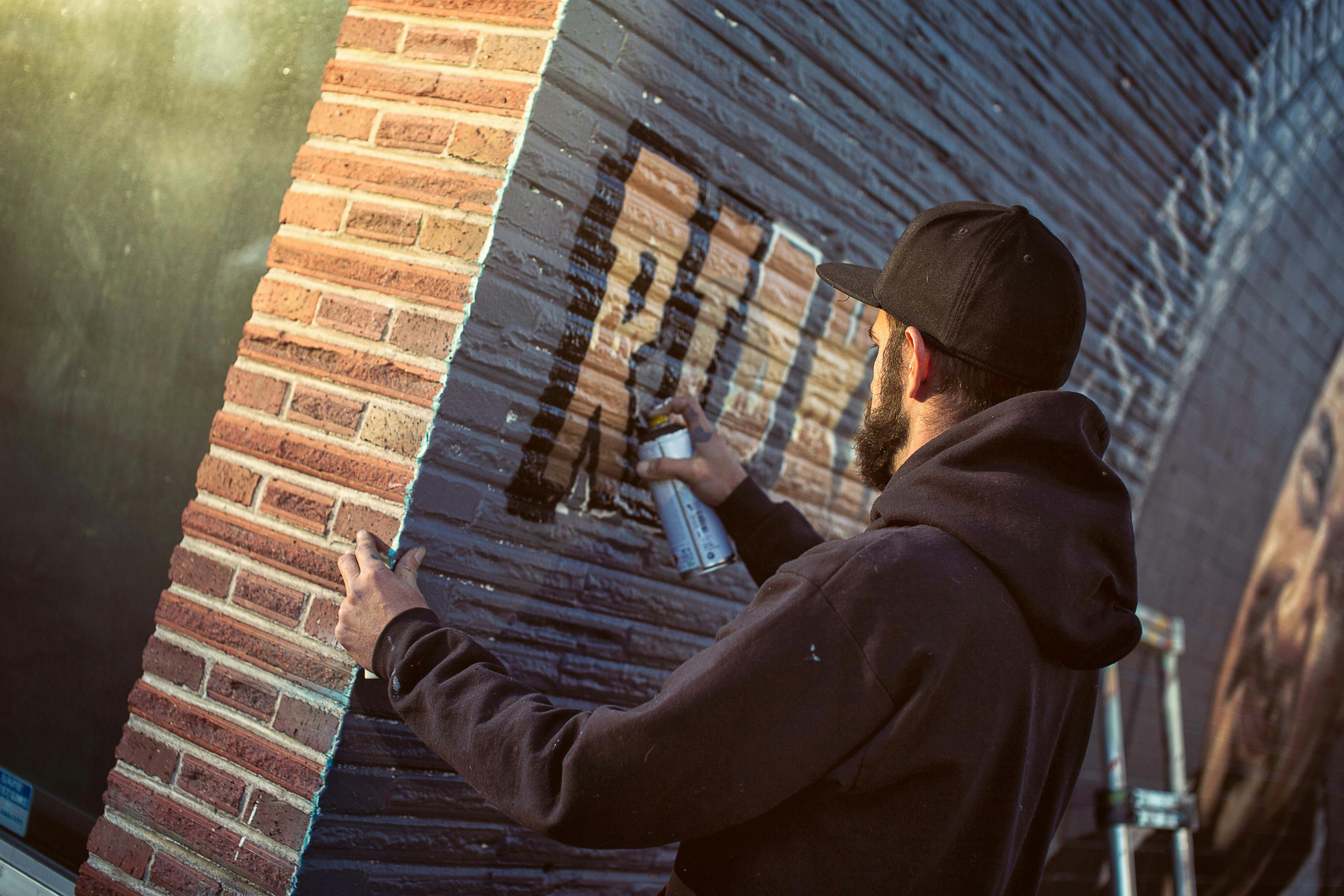 Professional Painter Applying Paint
