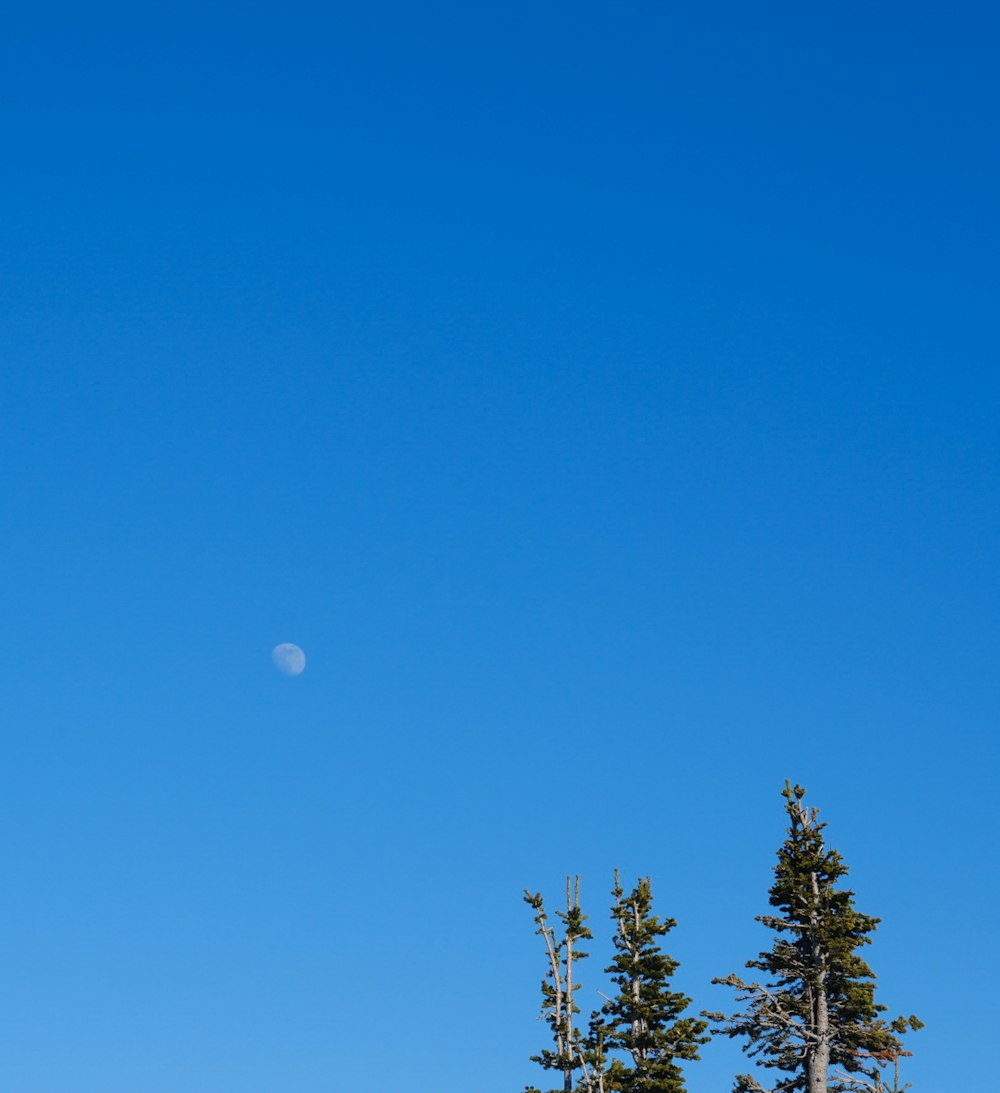 a clear blue sky with a half moon in the distance