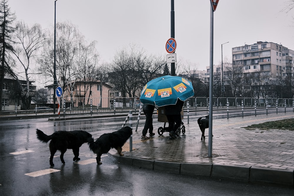 a group of people walking down a street with umbrellas