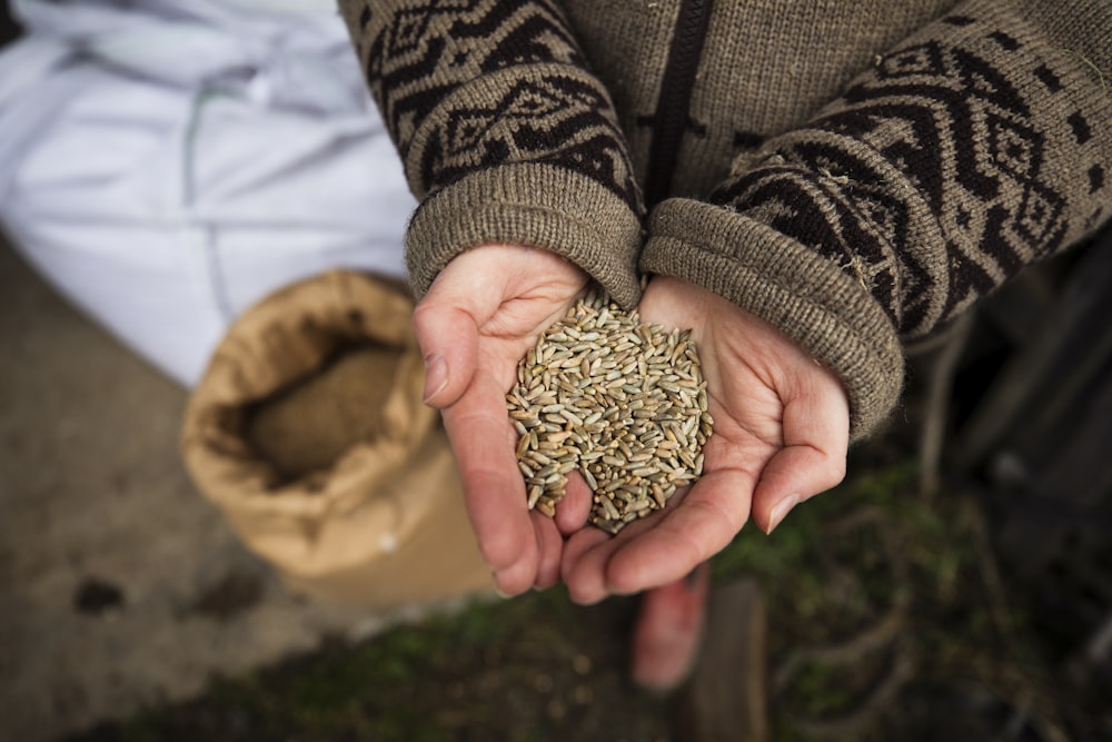 a person holding a handful of seeds in their hands