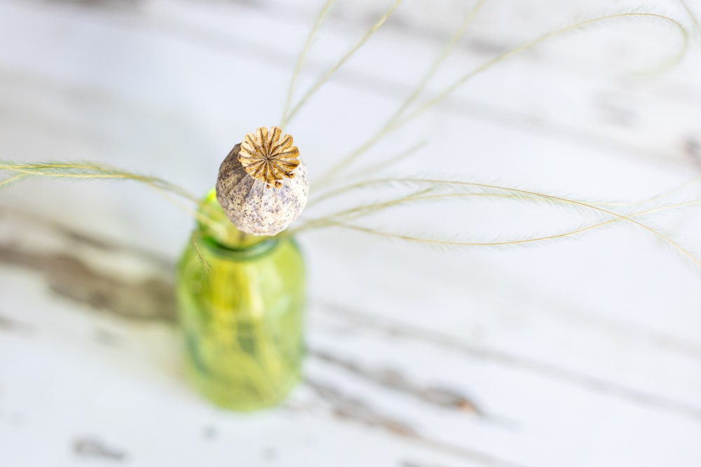 a small green vase with a flower in it