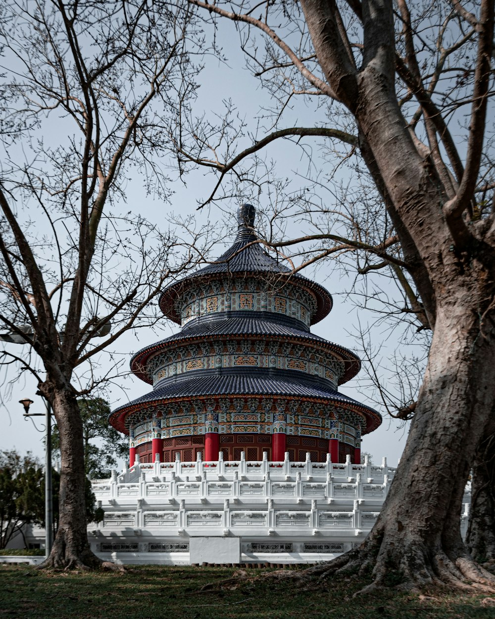 a tall building sitting between two trees in a park