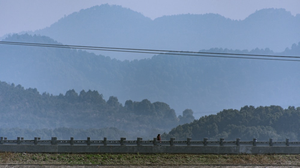 a couple of people riding on top of a bridge