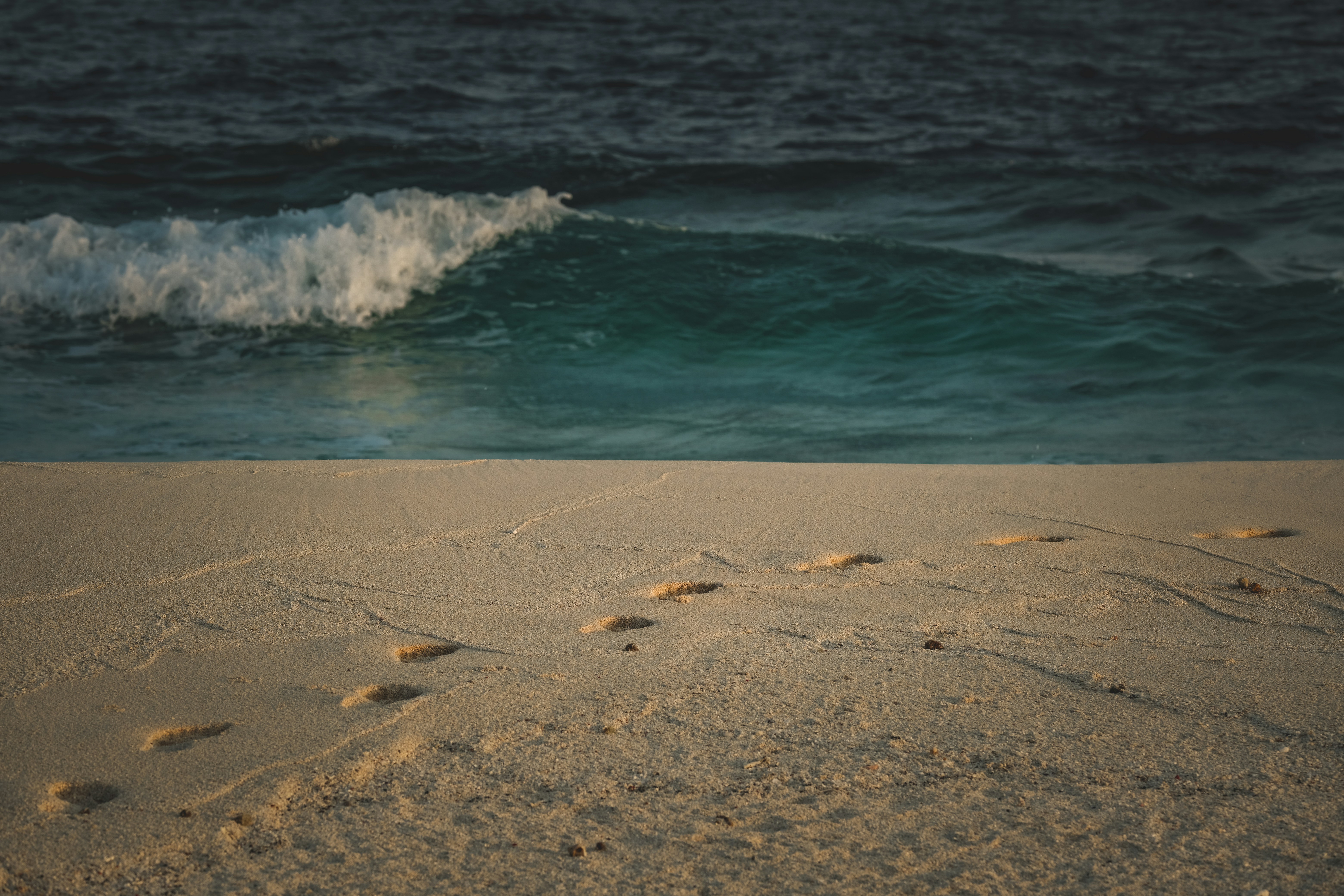 Photo by francesco_ungaro