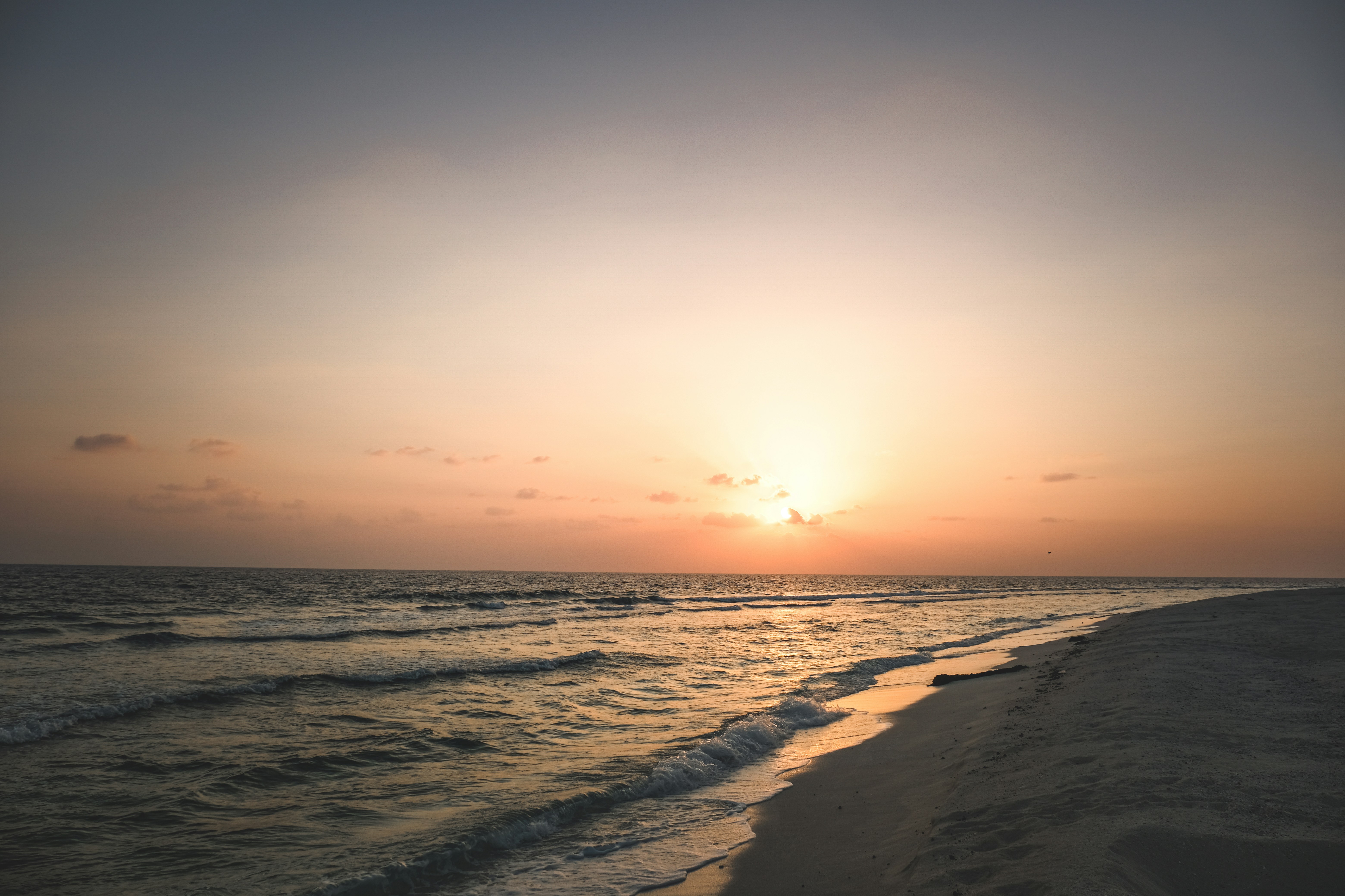 Photo by francesco_ungaro