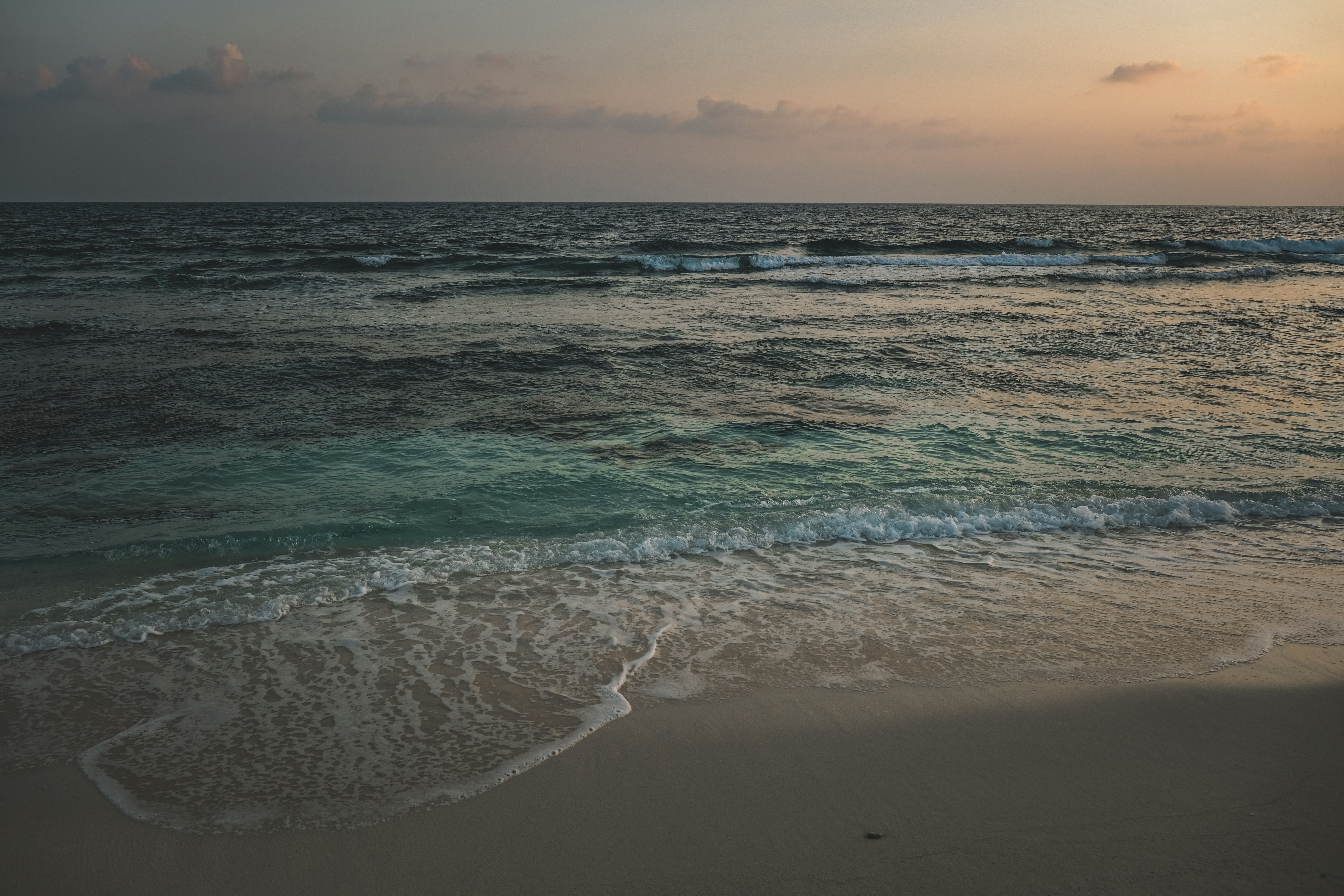 Photo by francesco_ungaro