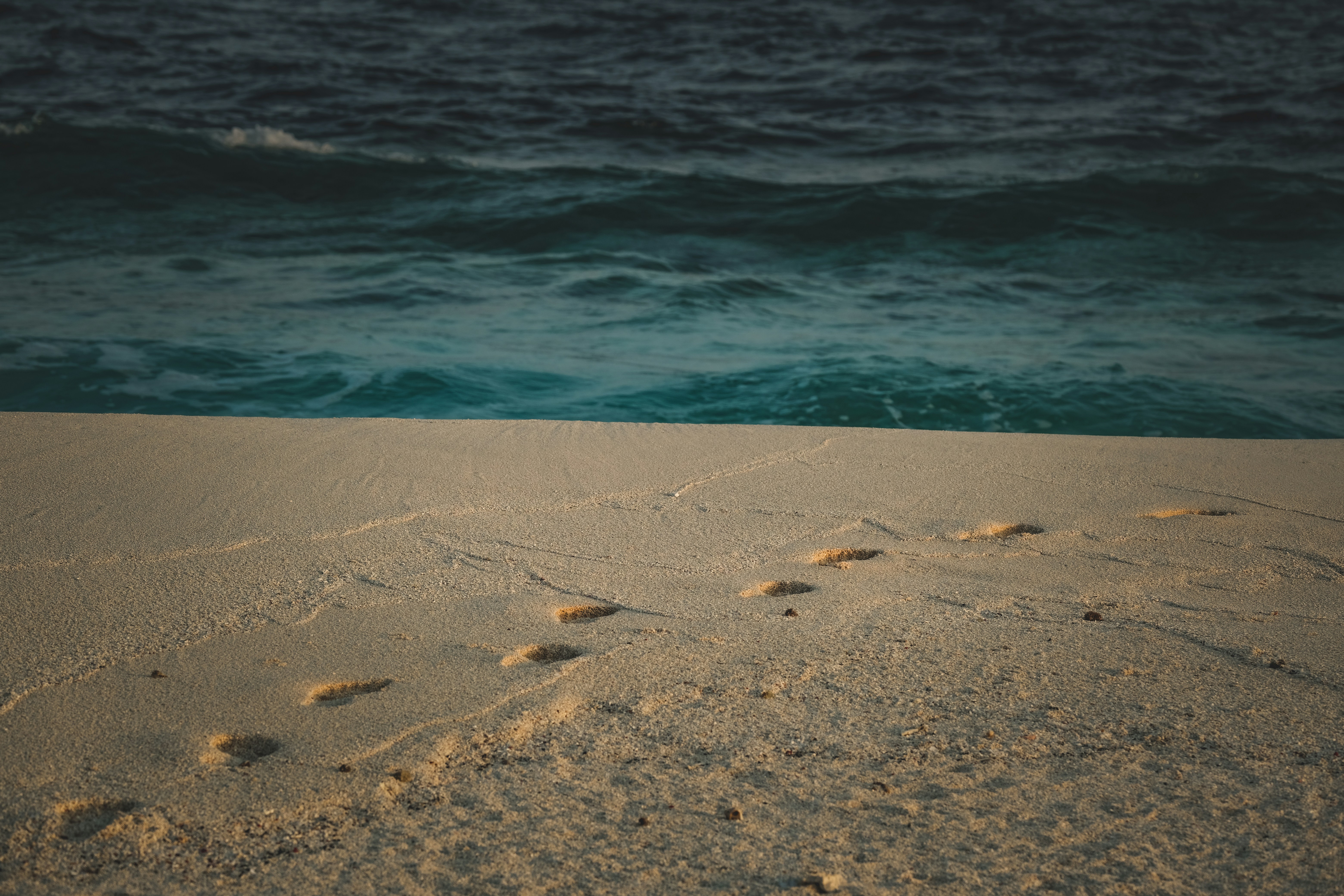 Photo by francesco_ungaro