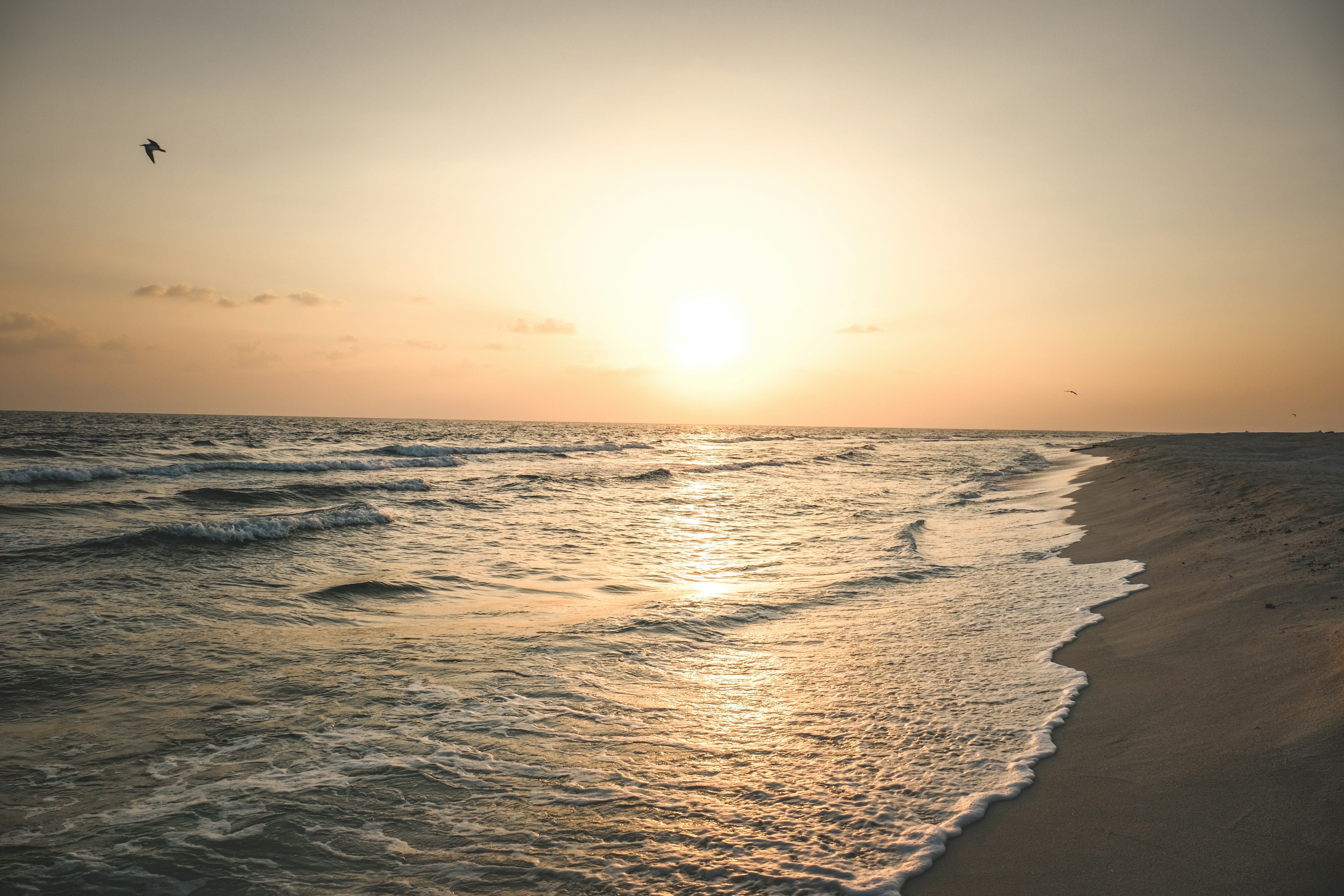 Photo by francesco_ungaro