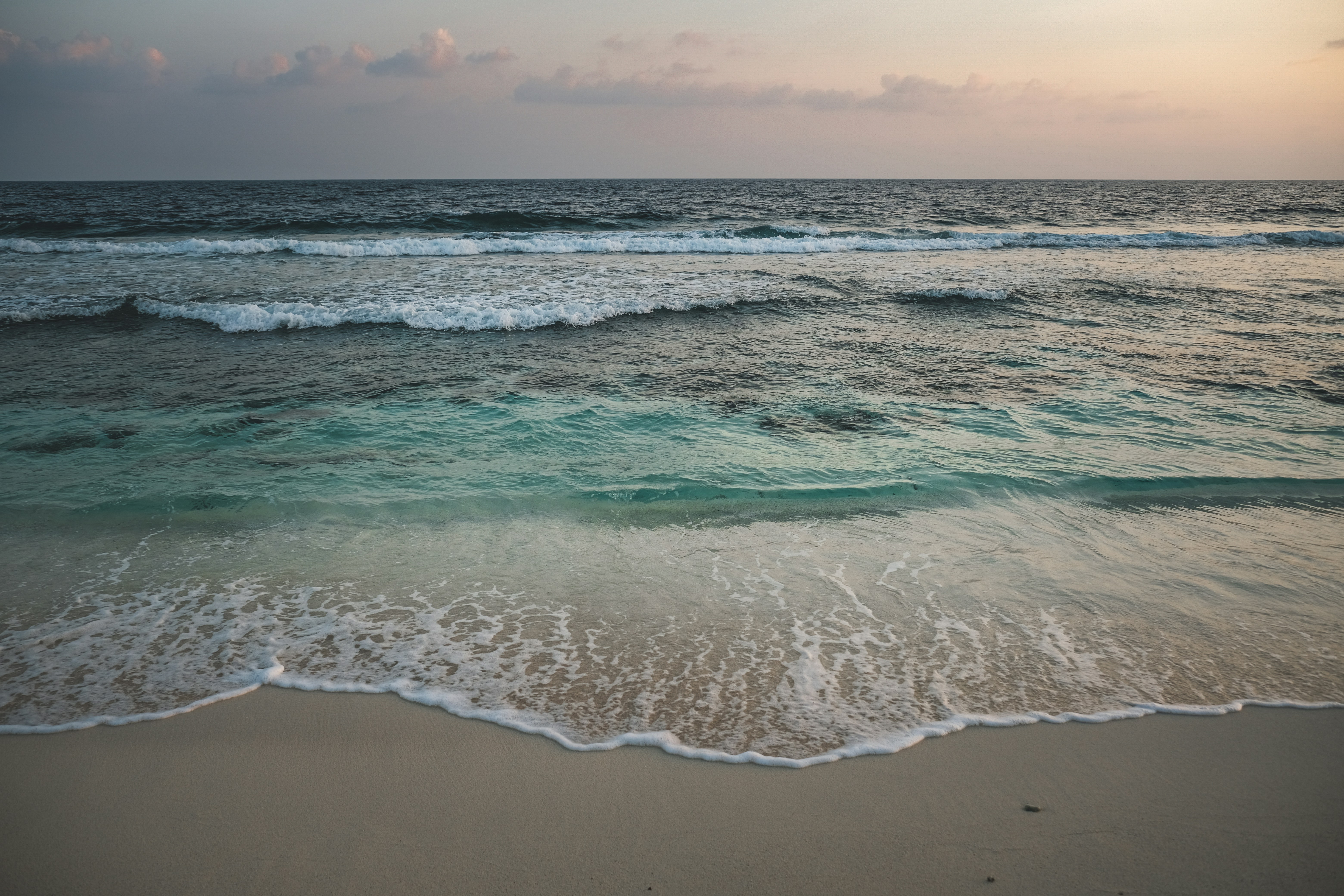 Photo by francesco_ungaro