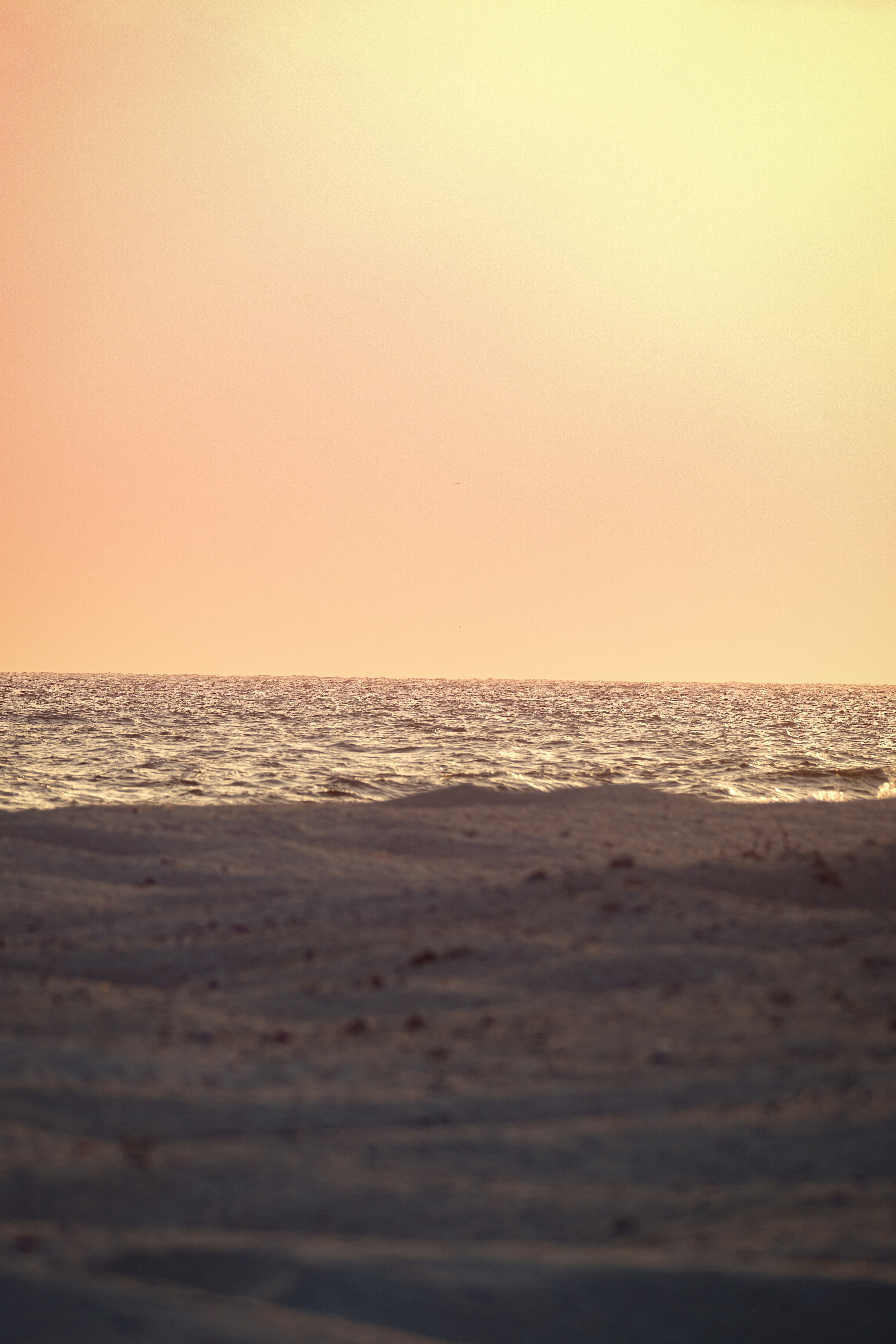 Photo by francesco_ungaro