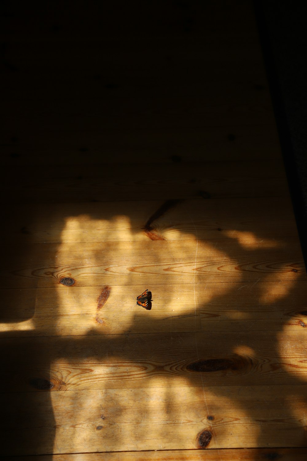 the shadow of a person's hand on a wooden floor