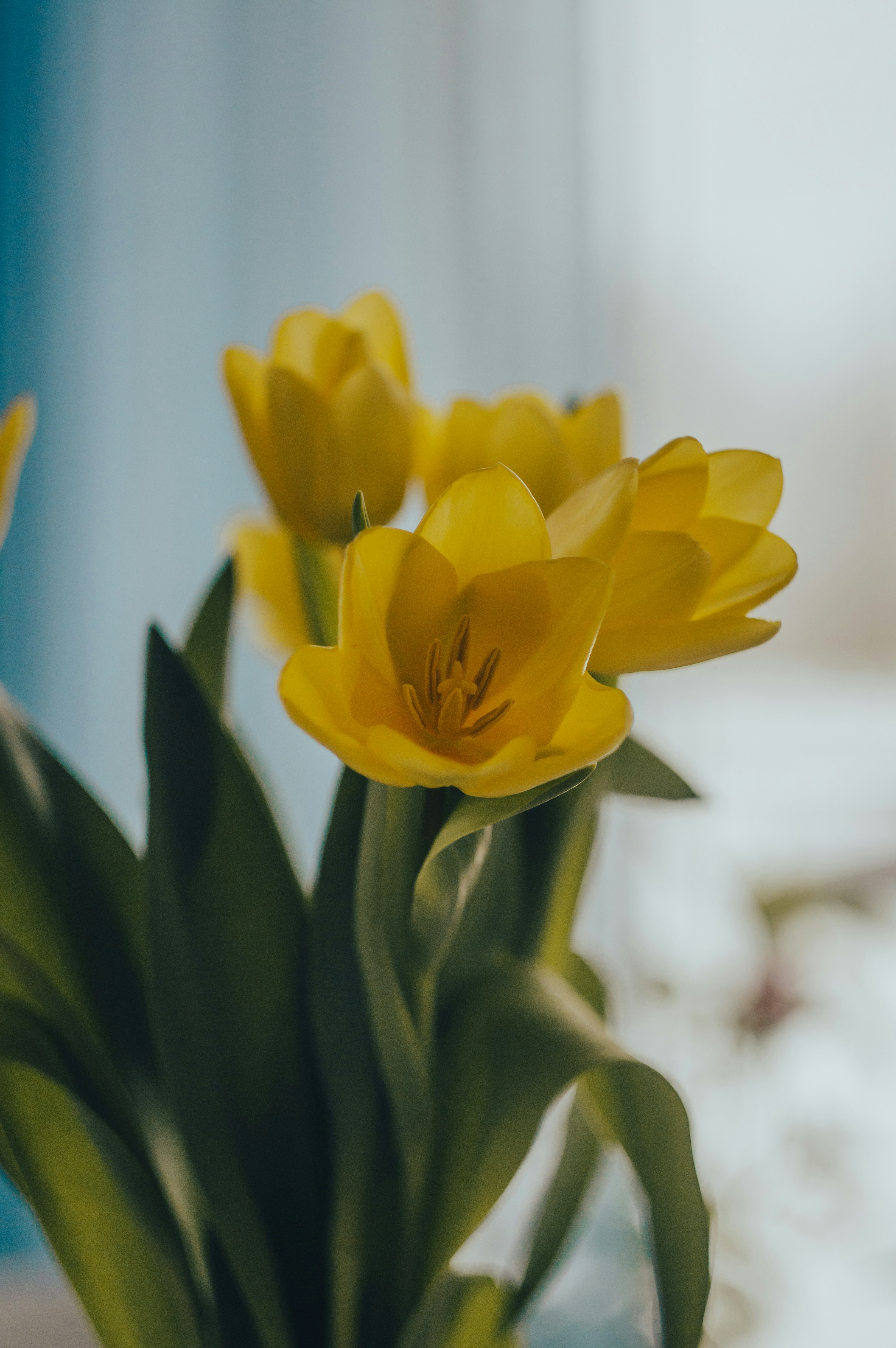 Photo by andrey_sinus