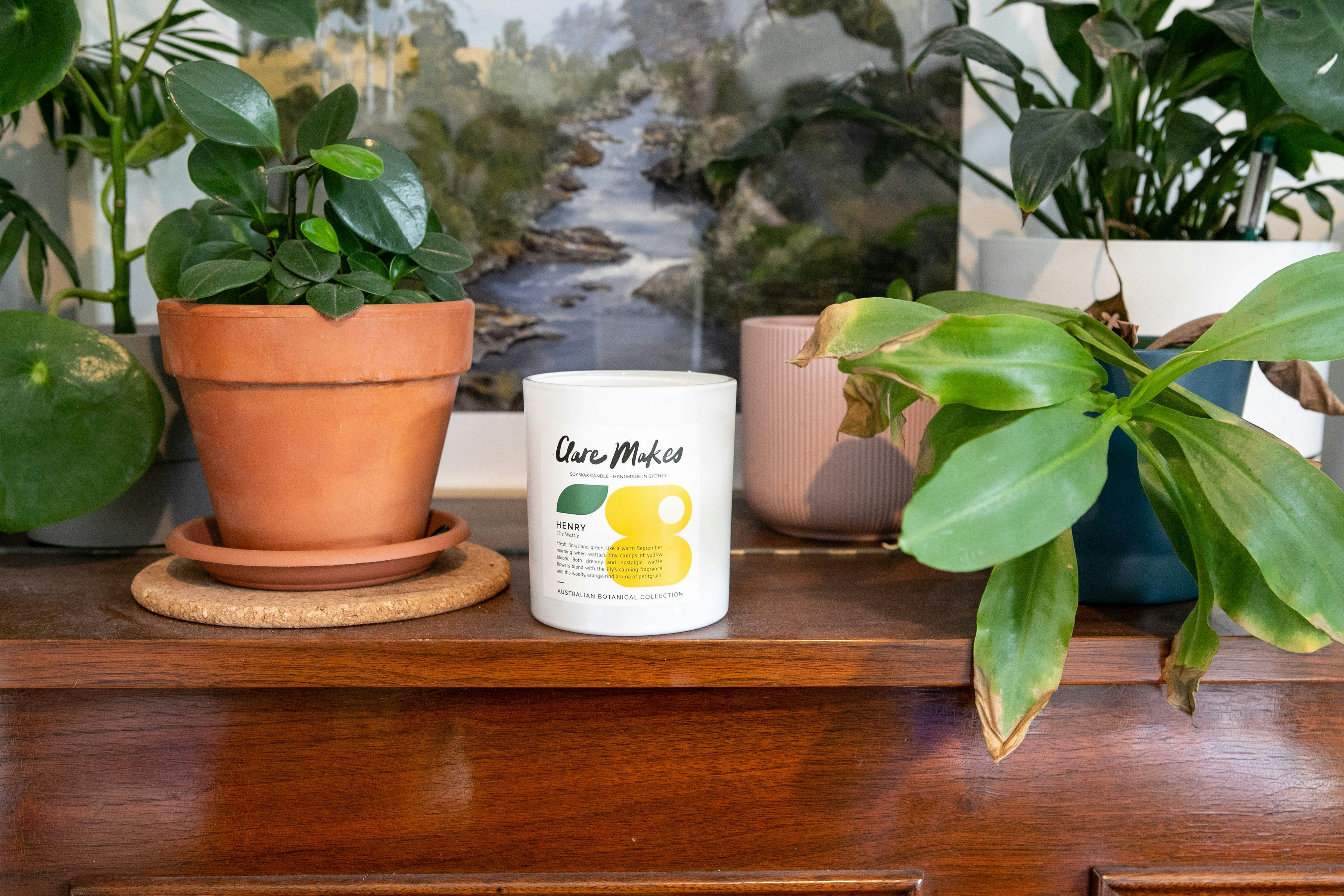 Potted plant on wooden dresser