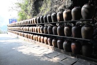 Artisanal koji fermentation jars lined up on rustic shelves at Kojico