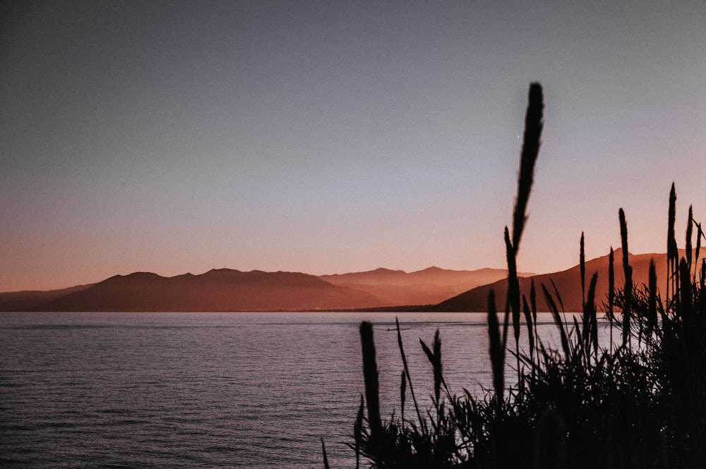 a body of water with mountains in the background