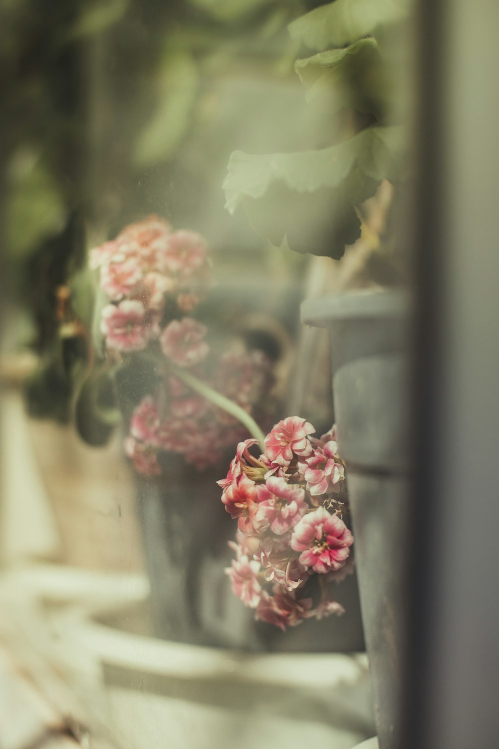 a bunch of flowers that are sitting on a window sill