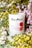 A white candle jar with a label reading 'Clare Makes' and 'Miles' is surrounded by vibrant yellow and purple flowers. The label mentions the scent as reminiscent of Australian wildflowers and has a graphic design with red and pink circles. Green leaves enhance the floral arrangement, creating a fresh and natural setting.