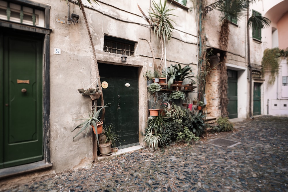 a row of potted plants on the side of a building