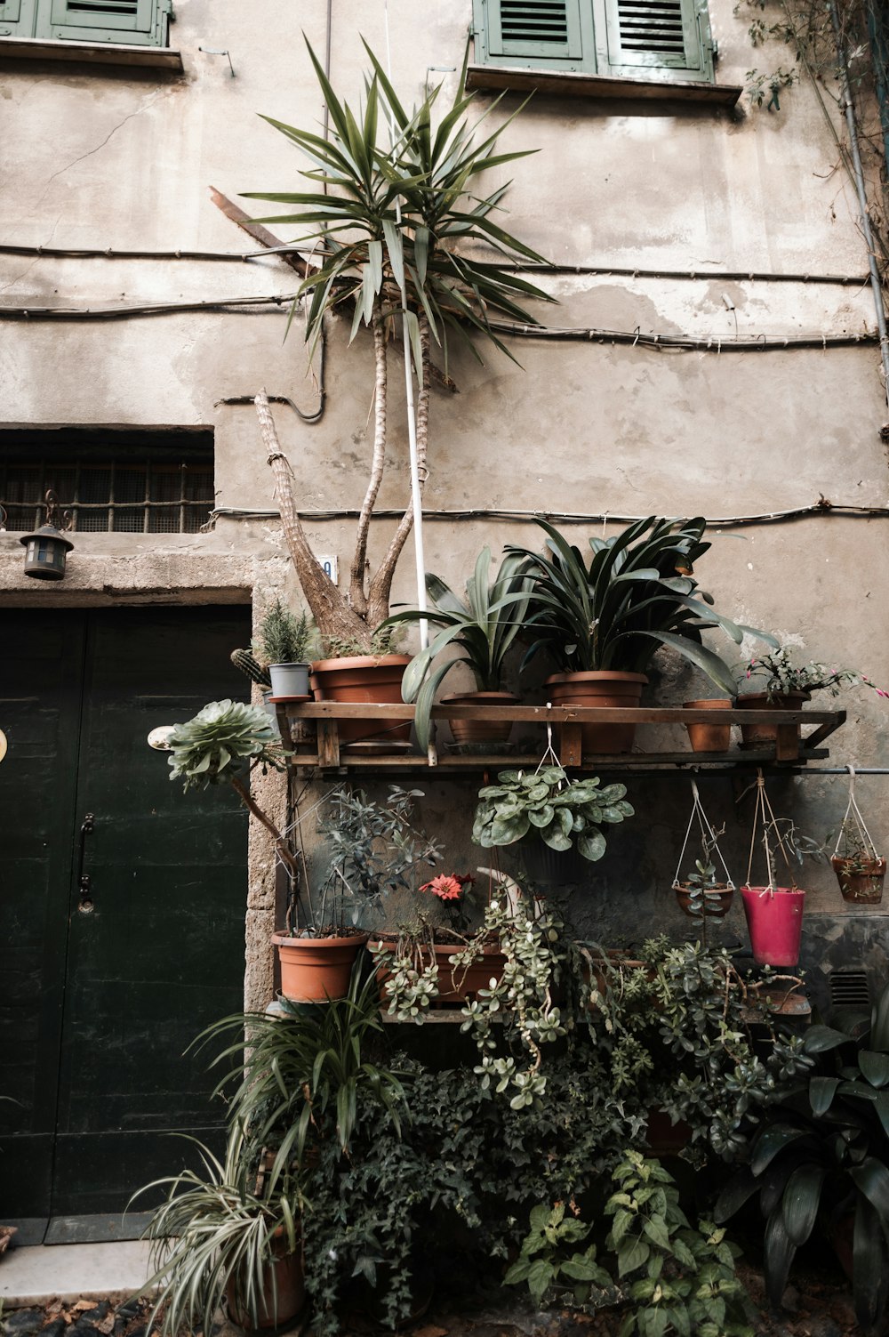 a building with a bunch of potted plants on it