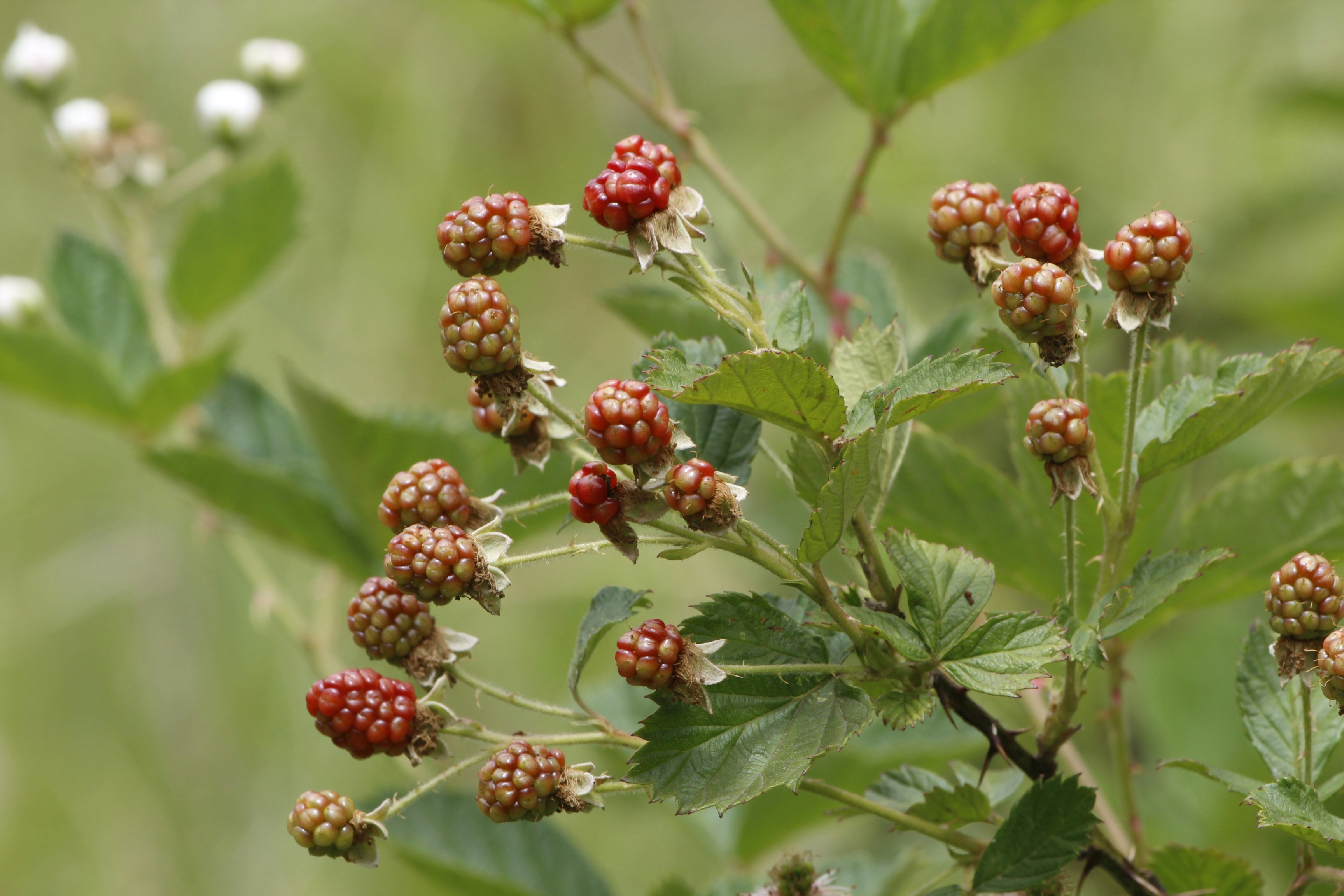 Photo by lena_bauermeister