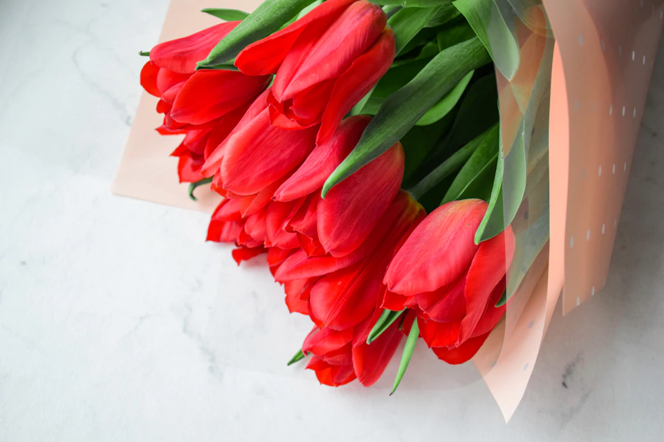Red tulips arranged in loose style on white marble countertop with contrasting vibrant petals