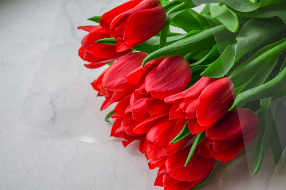 The image shows a bouquet of red tulips arranged on a white marble countertop. The tulips are in full bloom, with their vibrant red petals and green stems standing out against the stark white background. The flowers are tightly packed together, creating an impression of unity and harmony. The tulips are positioned at various angles, adding depth to the image and drawing attention to their beauty.