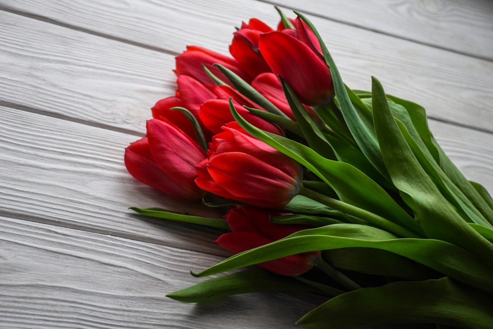 um monte de tulipas vermelhas deitadas em uma mesa