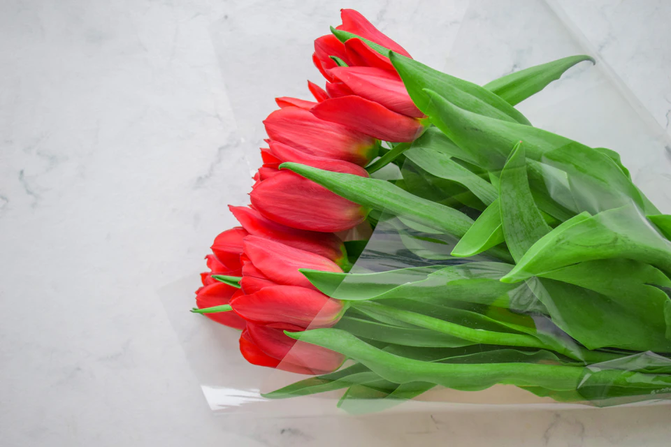 Bouquet of six red tulips arranged on a white surface with four extending outwards sides